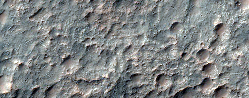 Terrain Sample
