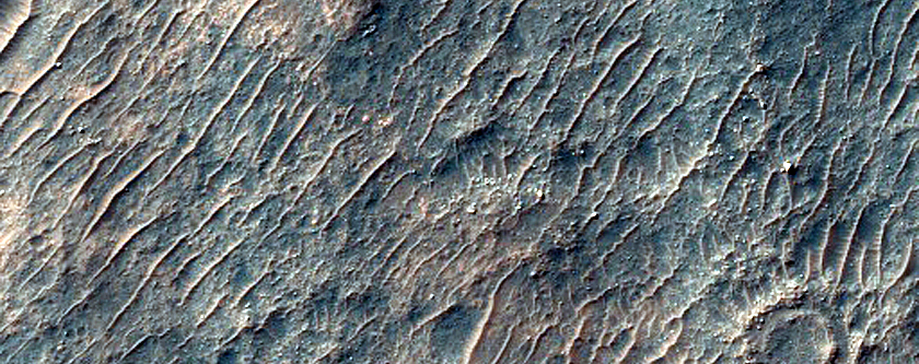 Gullies in High-Latitude Crater