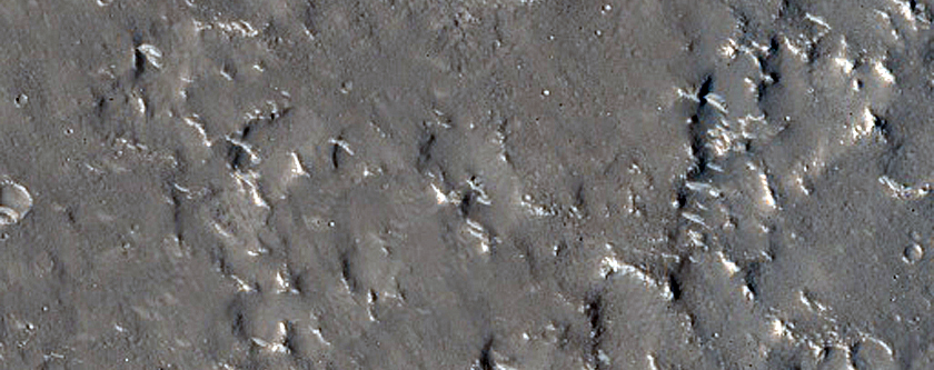 Terrain Sample