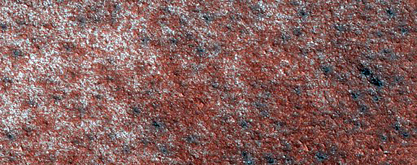 Terrain Sample