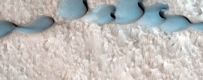 Dune Monitoring in Lyot Crater