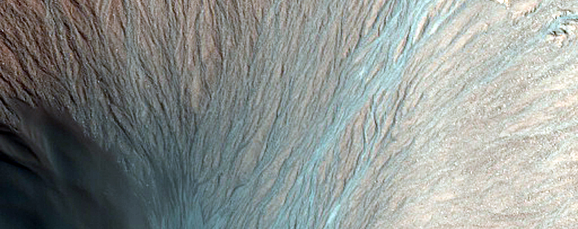 Gully Frost Monitoring