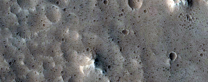 Gully Monitoring