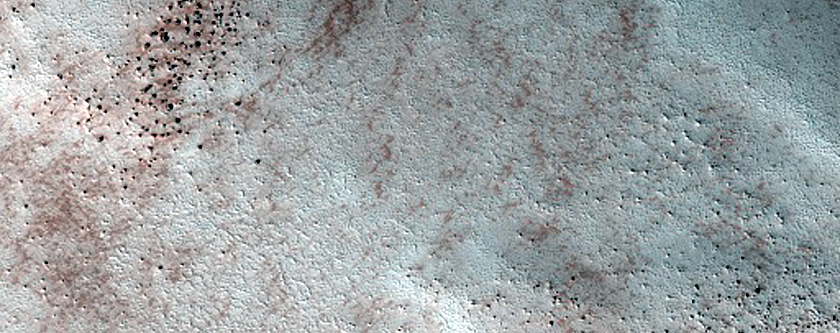 Terrain Sample