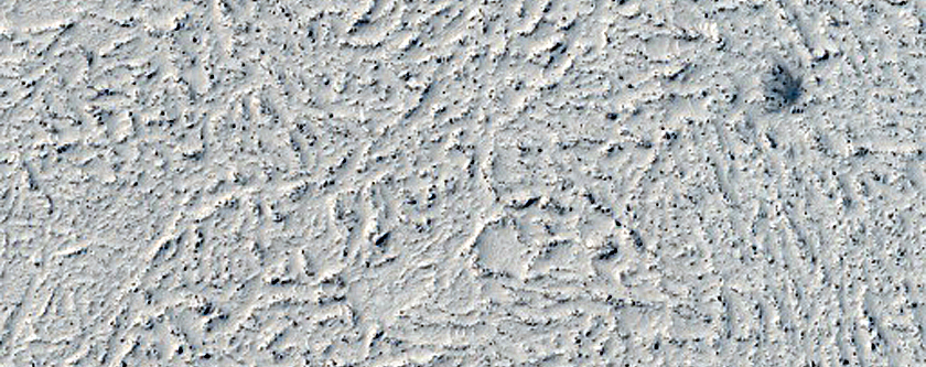 Candidate Recent Impact Site
