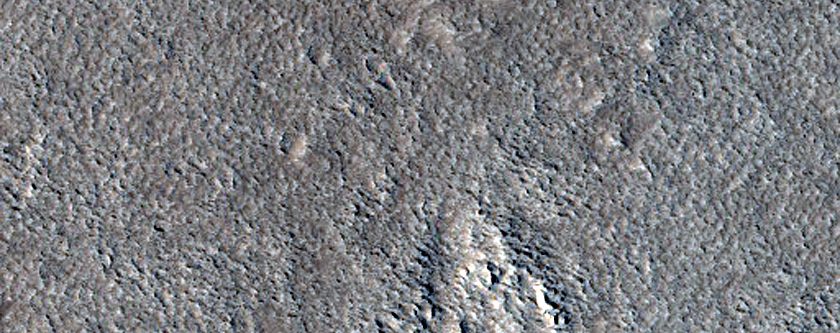 Terrain Sample