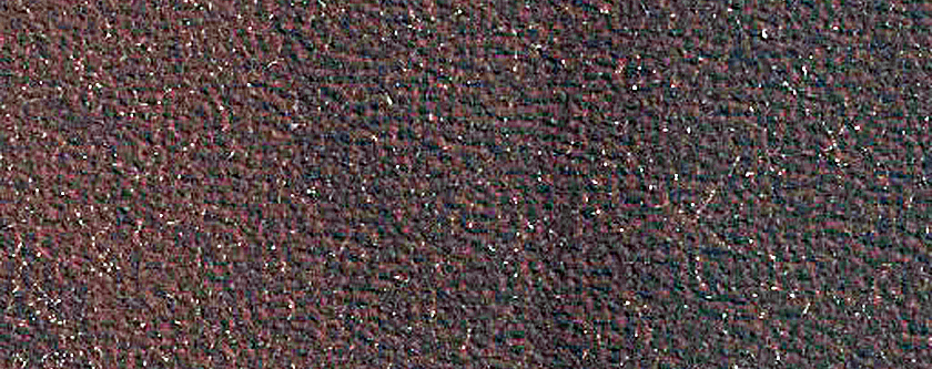 Northern Plains