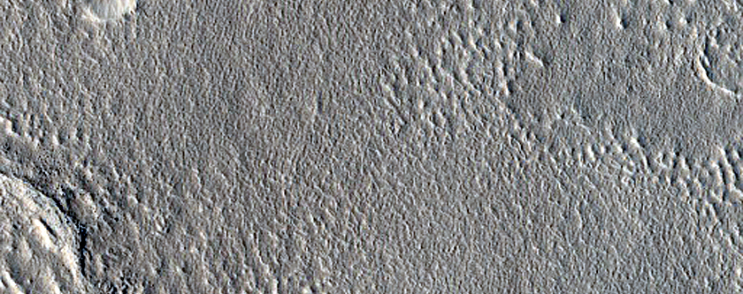 Impact Monitoring in Arcadia Planitia