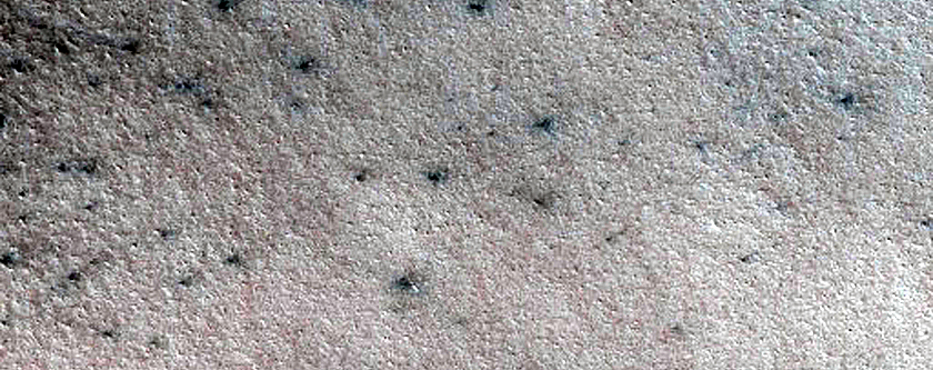 Terrain Sample