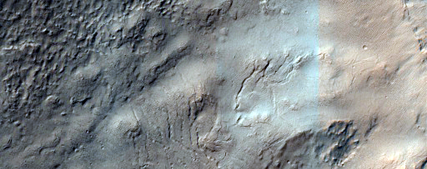 Gully Monitoring