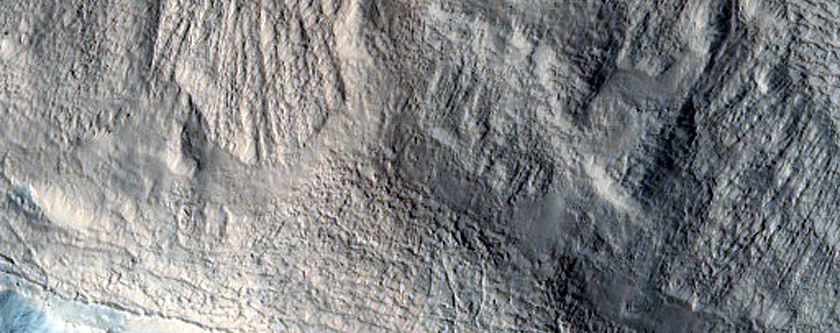 Equator-Facing Gullies near Bacolor Crater