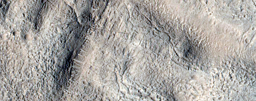 Terrain Sample
