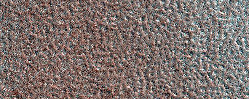 Terrain Sample