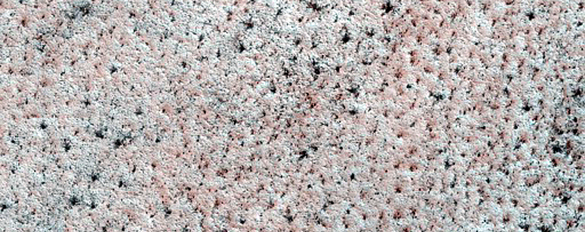 Terrain Sample