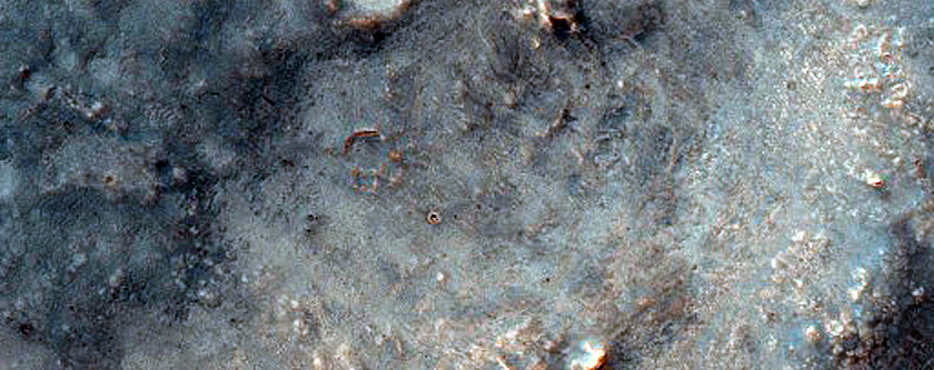 Albedo Monitoring in Solis Planum