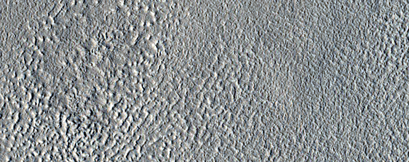 Albedo Monitoring in Arcadia Planitia