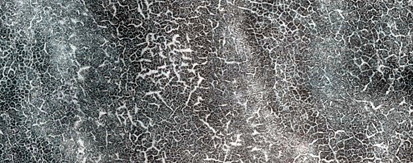 Northern Terrain Sample