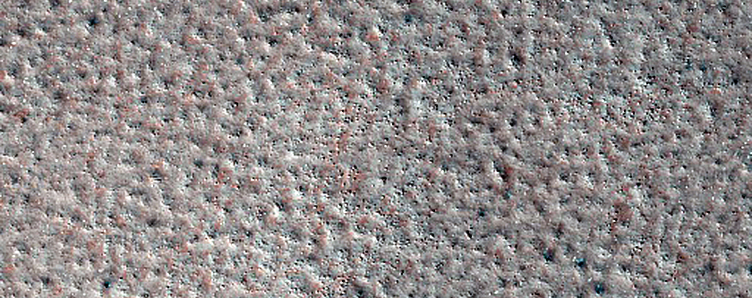 Terrain Sample