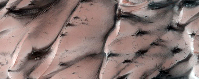 Dunes with Furrows Dubbed Lompoc