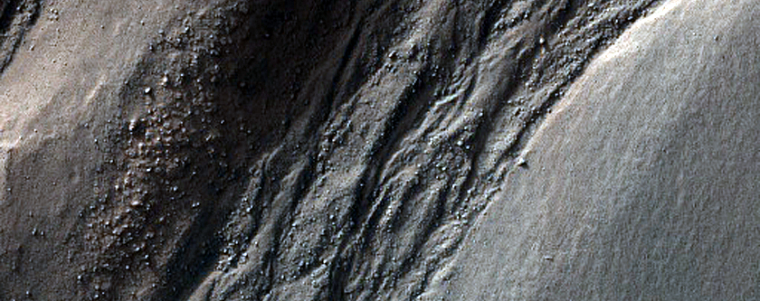 Potential Gullied Terrain