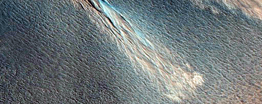 Gullies in Crater in Acidalia Planitia