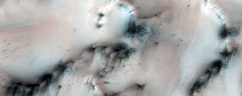 Terrain Sample