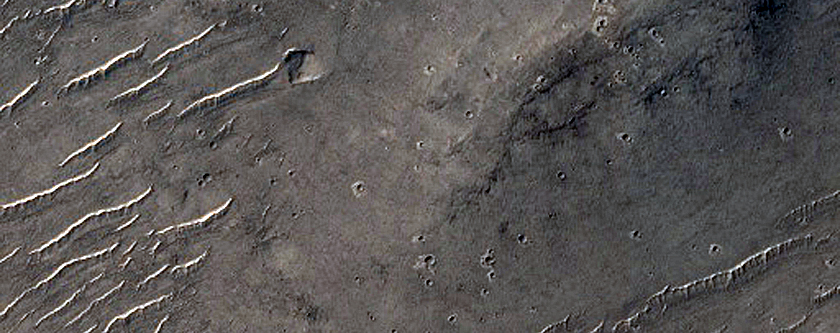 Fresh Impact Site