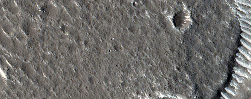Adamas Labyrinthus