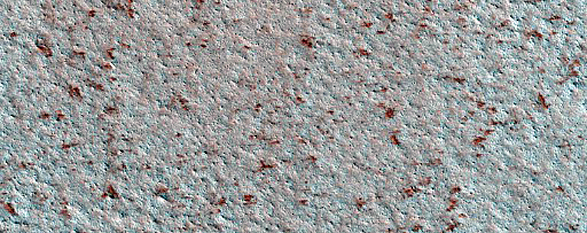 Terrain Sample