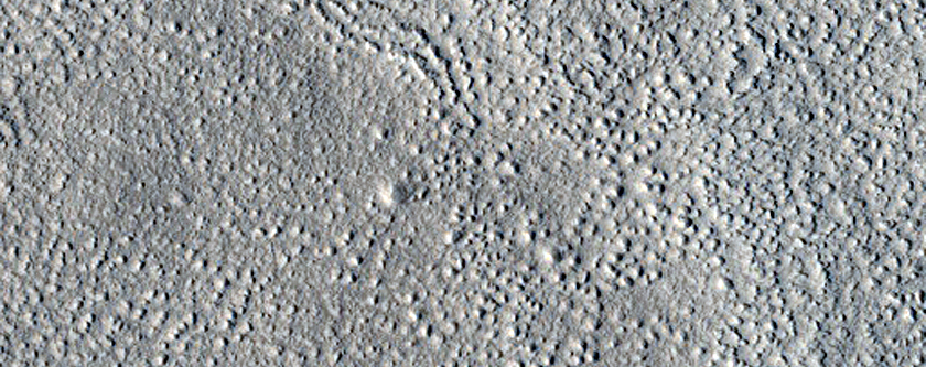 Terrain Sample