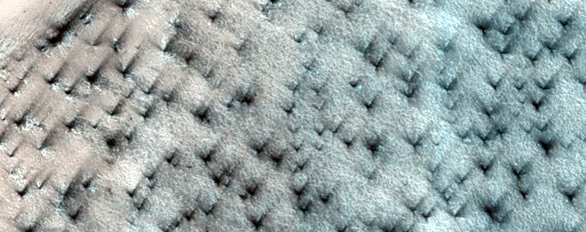 Terrain Sample