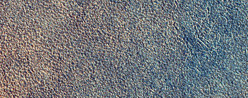 Terrain Sample