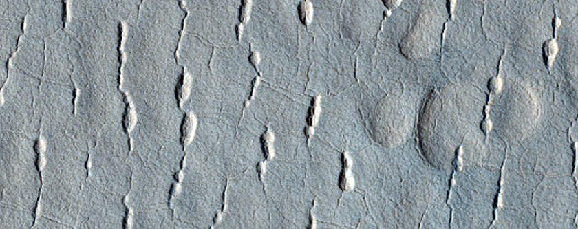Terrain Sample