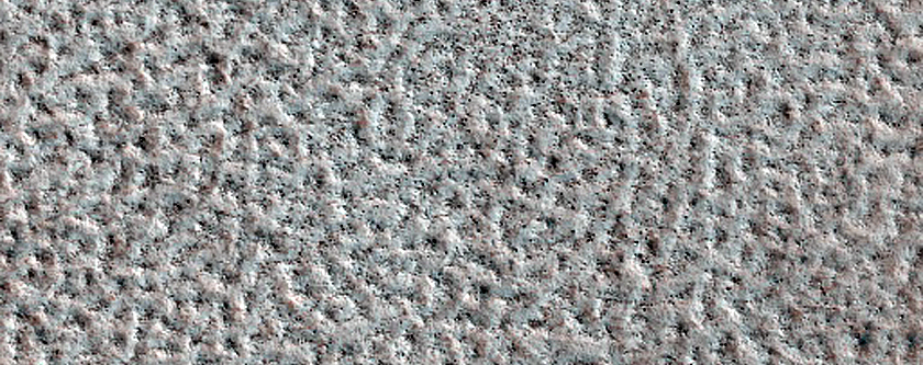 Terrain Sample