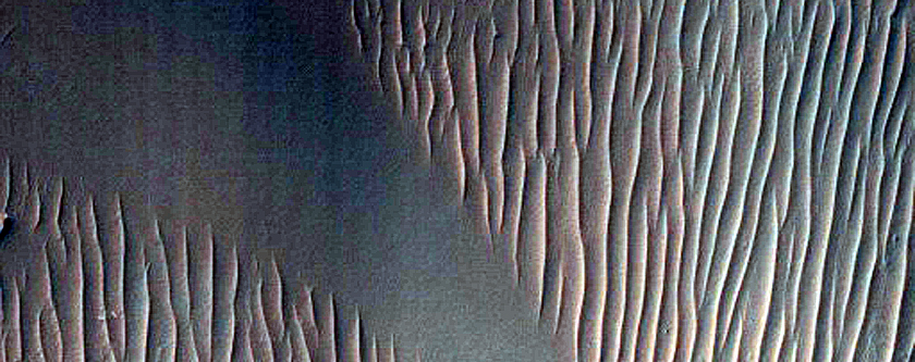 Terrain Sample
