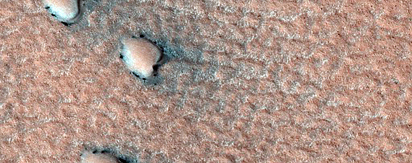 Terrain Sample