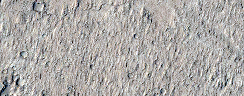 Terrain Sample