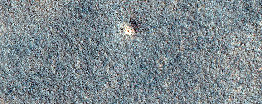 Terrain Sample