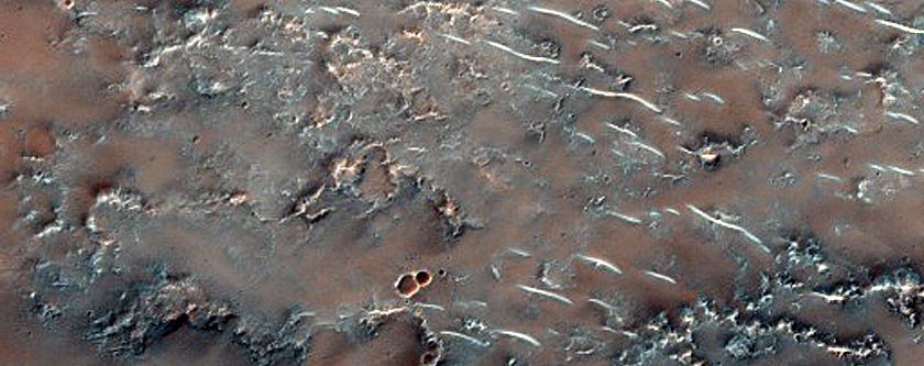 Ridge in Southern Low Latitudes