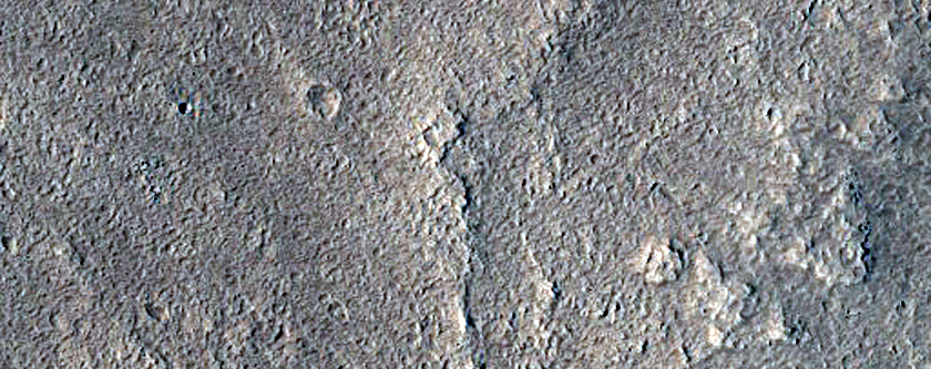 Terrain Sample