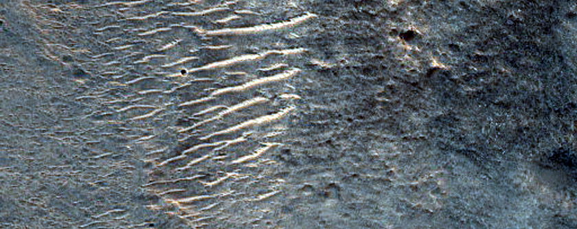 Chryse Planitia