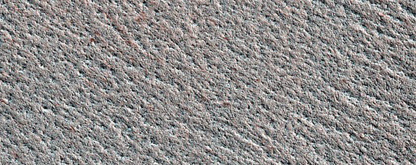 Terrain Sample