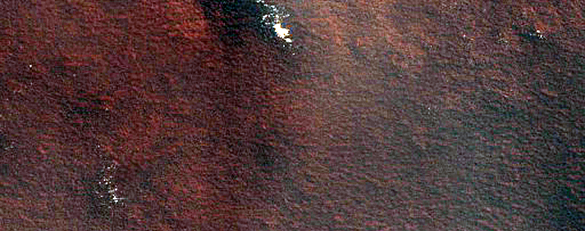 Terrain Sample