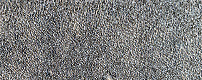 Terrain Sample