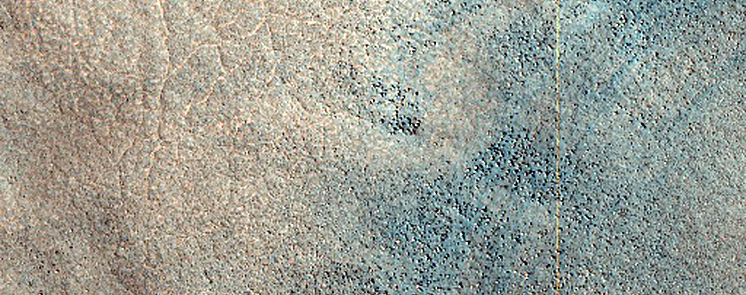 Terrain Sample