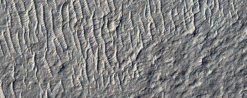 Small Impact Craters in Aeolis Dorsa