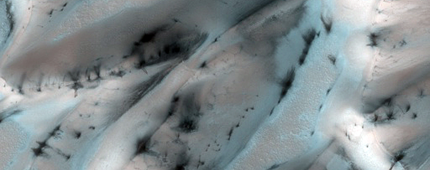 Terrain Sample