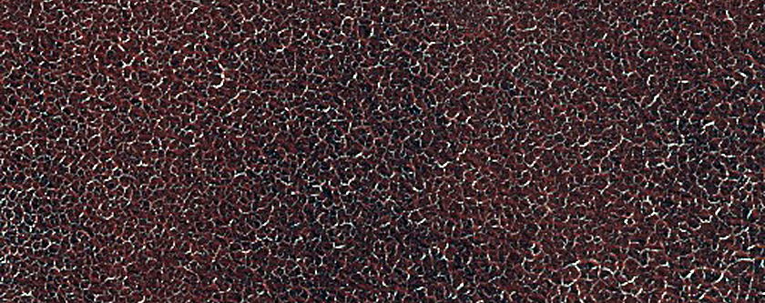 Terrain Sample