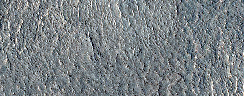 Terrain Sample
