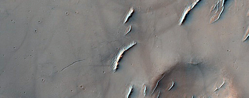Terrain Sample